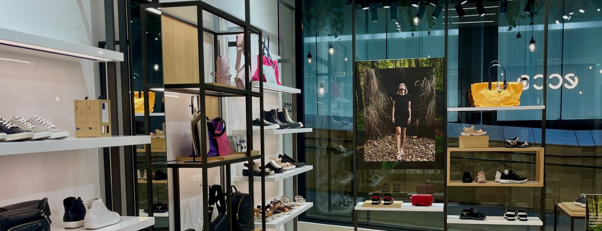 25.02.2025 Photo 1 ECCO LS copy